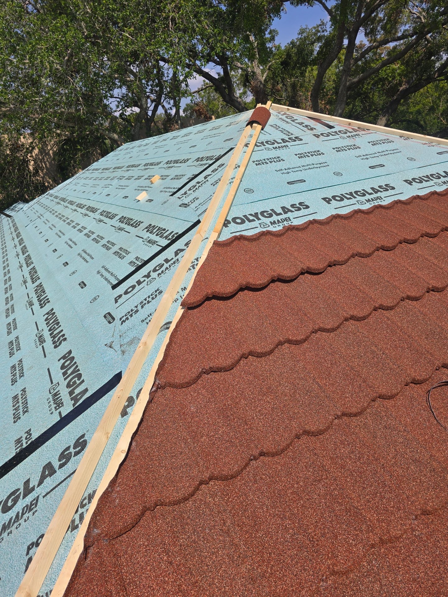 KED Plasma Temple Terrace photo 6