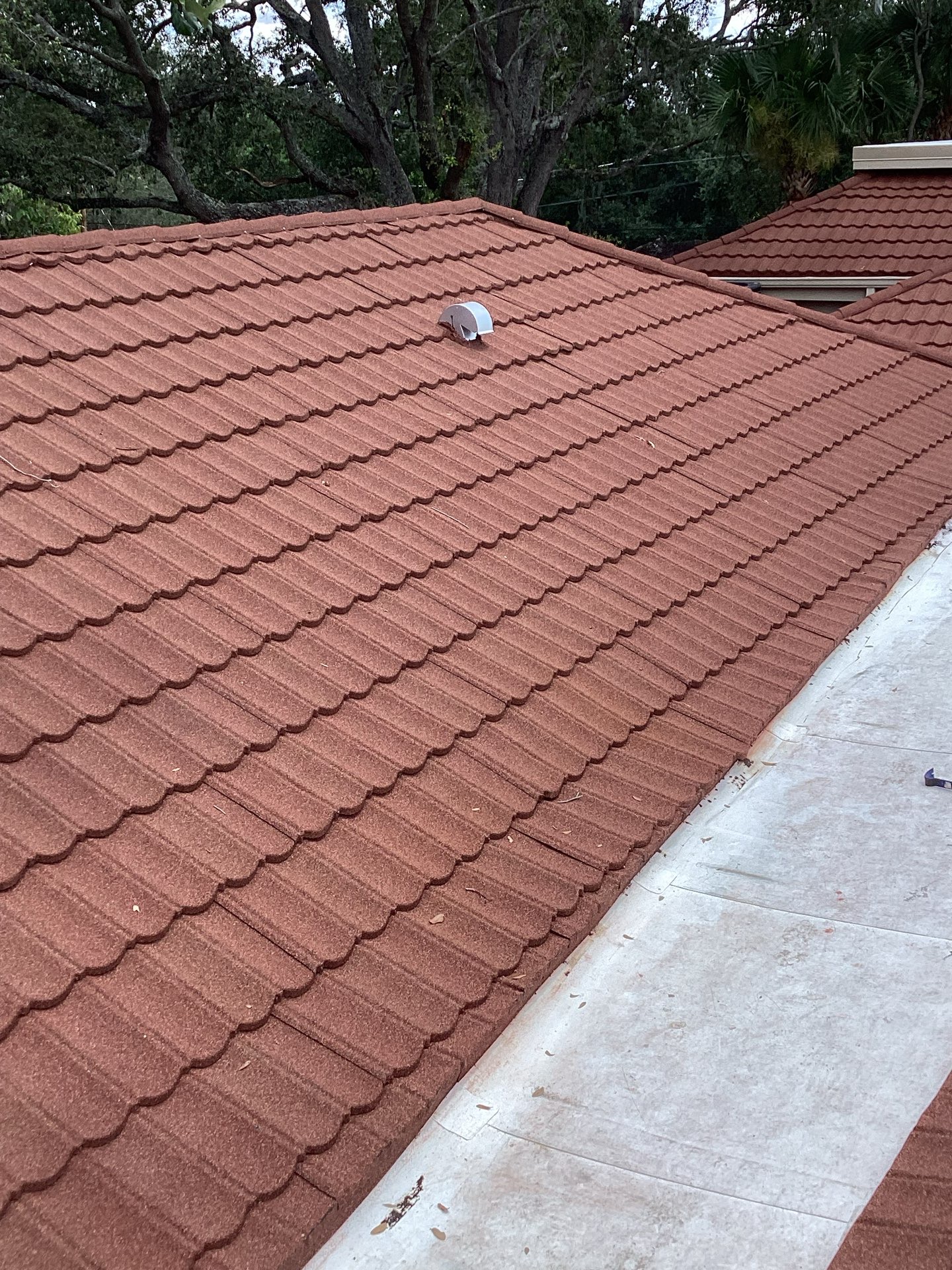 KED Plasma Temple Terrace photo 1