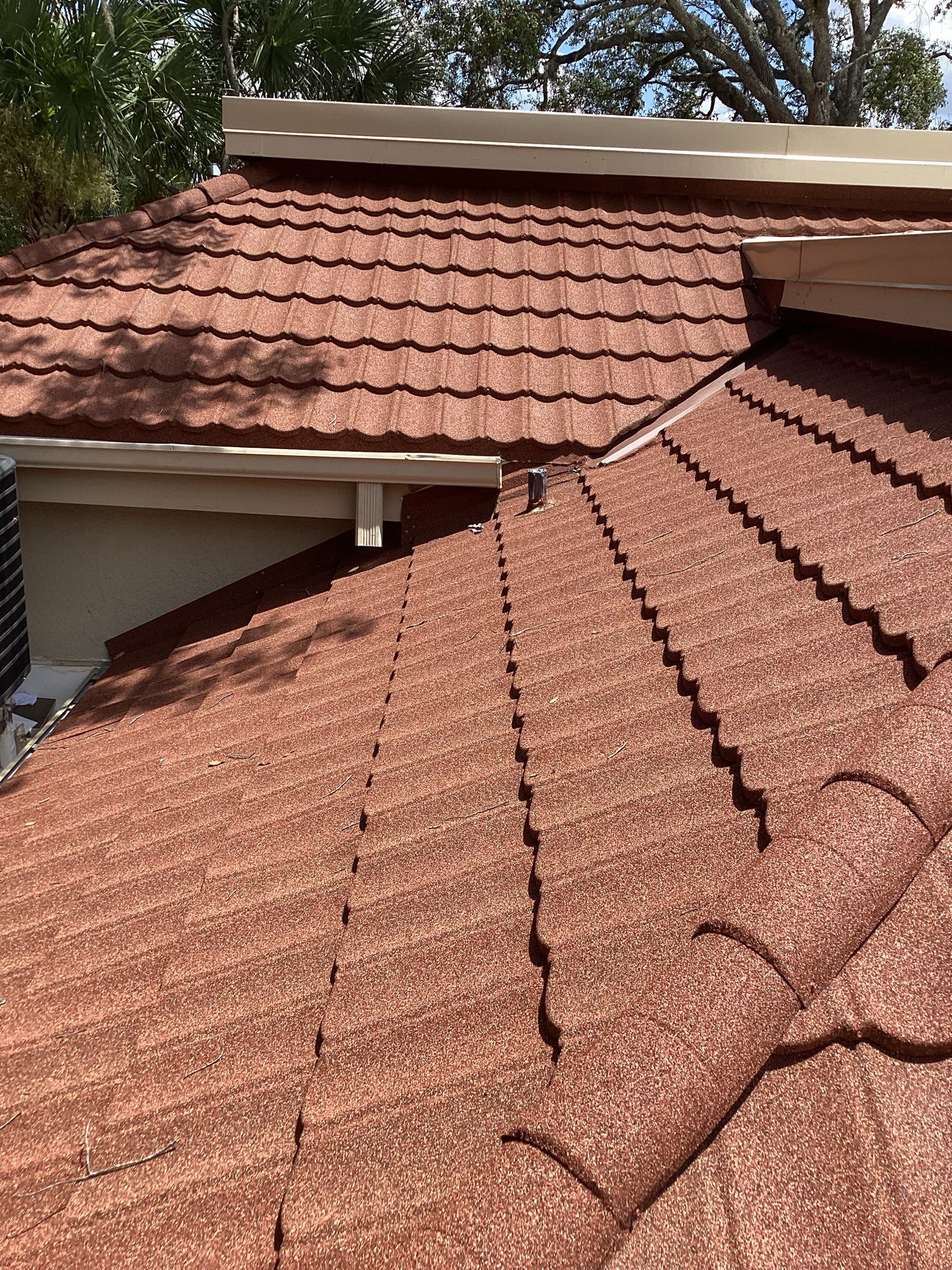 KED Plasma Temple Terrace photo 2