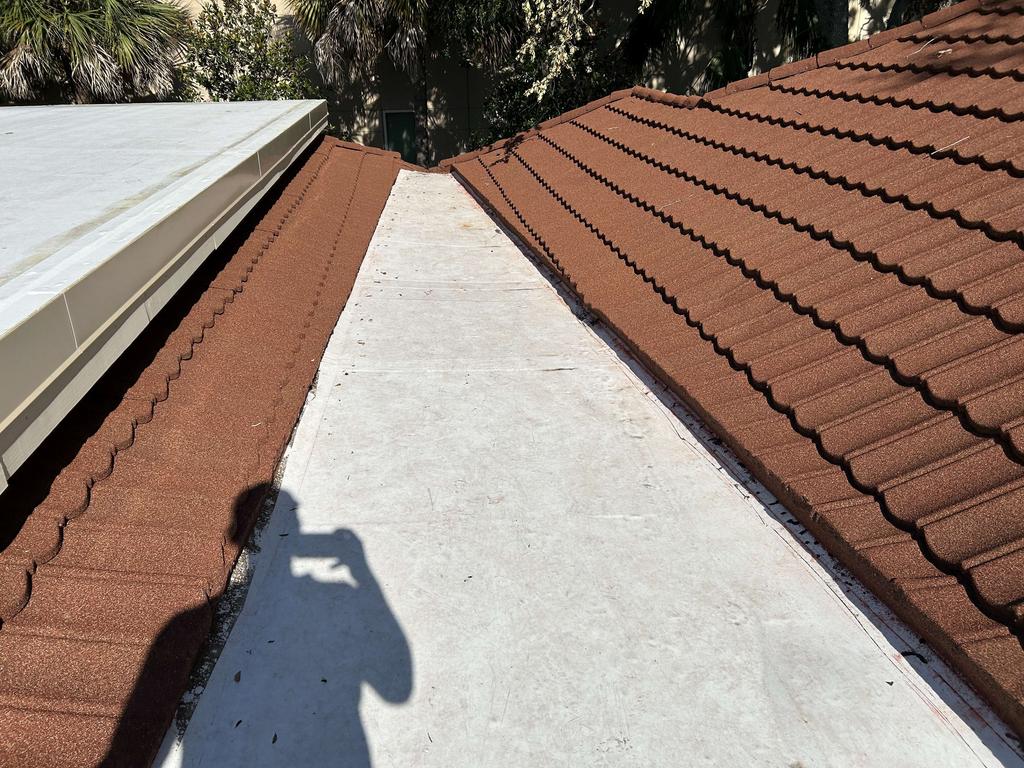 KED Plasma Temple Terrace photo 4